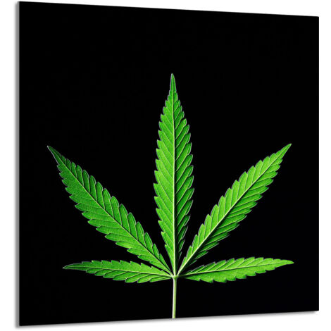 PANEL DE VIDRIO PARA COCINA 60x65 Hoja