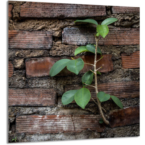 PANEL DE VIDRIO PARA COCINA 60x65 Ladrillo