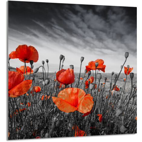 PANEL DE VIDRIO PARA COCINA 60x65 Maki