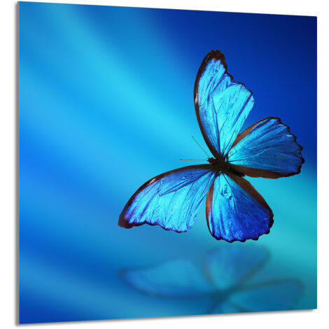 PANEL DE VIDRIO PARA COCINA 60x65 Mariposa