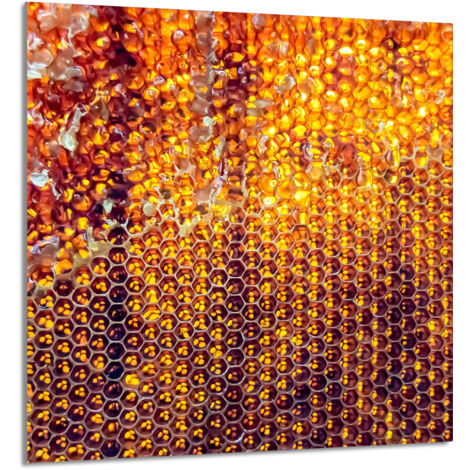 PANEL DE VIDRIO PARA COCINA 60x65 Miel