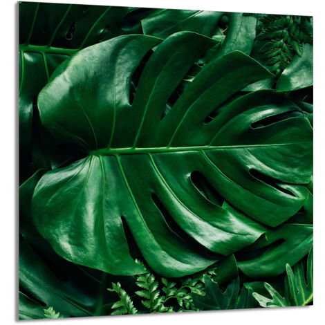 PANEL DE VIDRIO PARA COCINA 60x65 Monstera