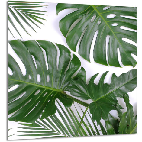 PANEL DE VIDRIO PARA COCINA 60x65 Monstera