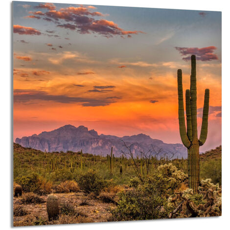 PANEL DE VIDRIO PARA COCINA 60x65 Montañas