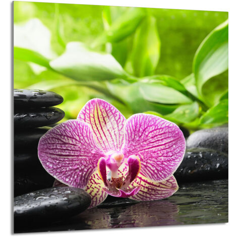 PANEL DE VIDRIO PARA COCINA 60x65 Orquídea