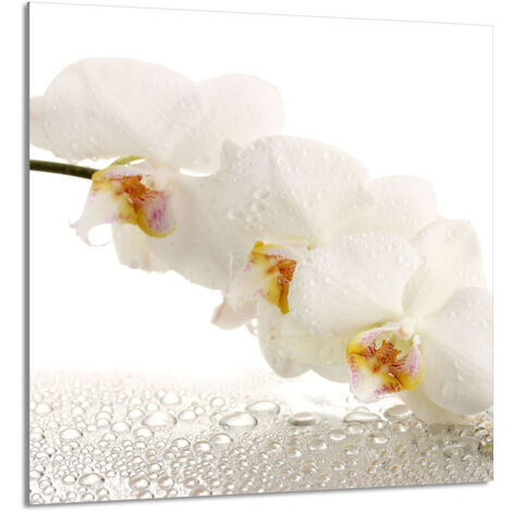 PANEL DE VIDRIO PARA COCINA 60x65 Orquídea