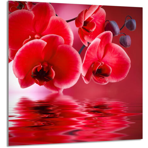 PANEL DE VIDRIO PARA COCINA 60x65 Orquídea