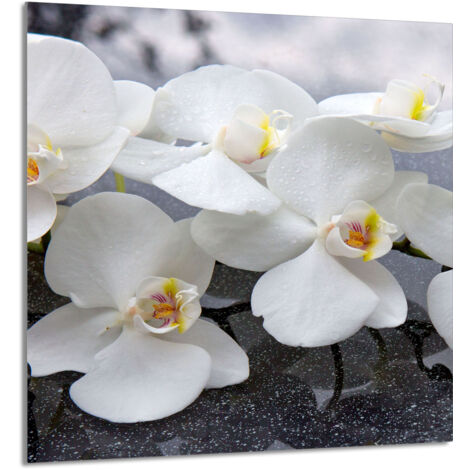 PANEL DE VIDRIO PARA COCINA 60x65 Orquídea