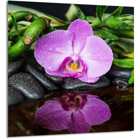 PANEL DE VIDRIO PARA COCINA 60x65 Orquídea