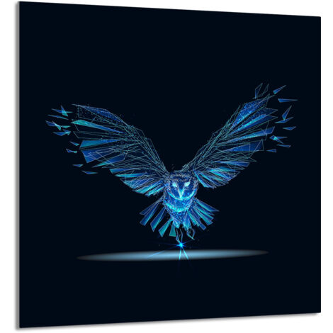 PANEL DE VIDRIO PARA COCINA 60x65 Pájaro