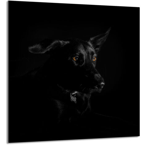 PANEL DE VIDRIO PARA COCINA 60x65 Perro
