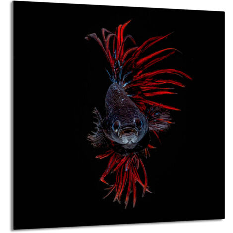 PANEL DE VIDRIO PARA COCINA 60x65 Pescado