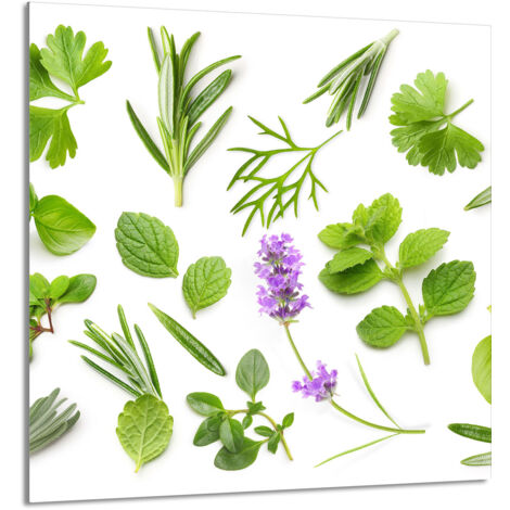 PANEL DE VIDRIO PARA COCINA 60x65 Plantas