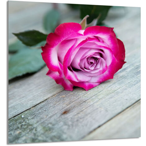 PANEL DE VIDRIO PARA COCINA 60x65 Rosa
