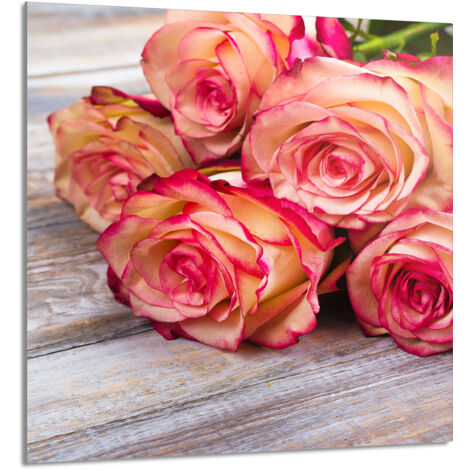 PANEL DE VIDRIO PARA COCINA 60x65 Rosa