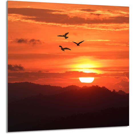 PANEL DE VIDRIO PARA COCINA 60x65 Sol