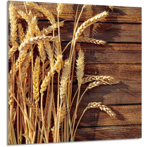 PANEL DE VIDRIO PARA COCINA 60x65 Trigo