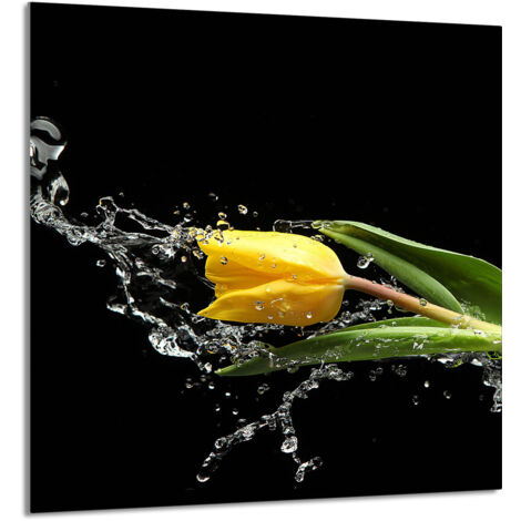 PANEL DE VIDRIO PARA COCINA 60x65 Tulipán