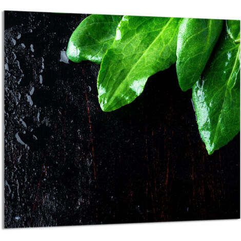PANEL DE VIDRIO PARA COCINA 65x60 Albahaca