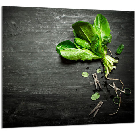 PANEL DE VIDRIO PARA COCINA 65x60 Albahaca