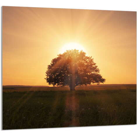 PANEL DE VIDRIO PARA COCINA 65x60 Árbol