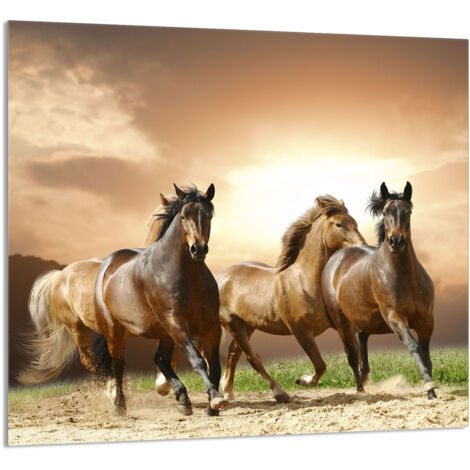 PANEL DE VIDRIO PARA COCINA 65x60 Caballos