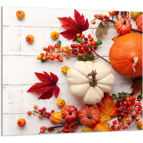 PANEL DE VIDRIO PARA COCINA 65x60 Calabaza