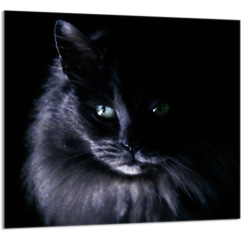 PANEL DE VIDRIO PARA COCINA 65x60 Cat