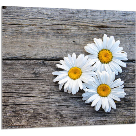 PANEL DE VIDRIO PARA COCINA 65x60 Daisy