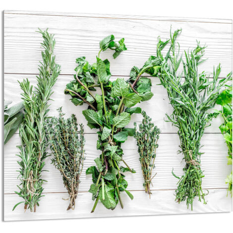 PANEL DE VIDRIO PARA COCINA 65x60 Especias