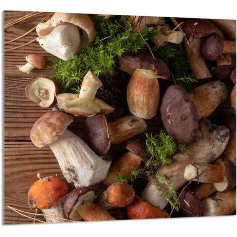 PANEL DE VIDRIO PARA COCINA 65x60 Hongos