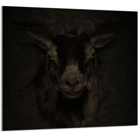 PANEL DE VIDRIO PARA COCINA 65x60 Koza