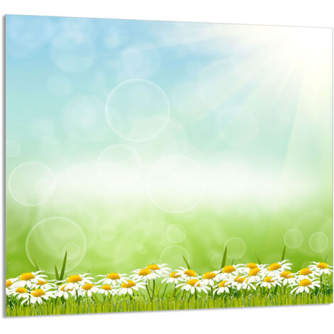PANEL DE VIDRIO PARA COCINA 65x60 Margaritas