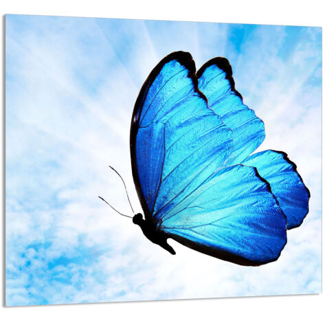 PANEL DE VIDRIO PARA COCINA 65x60 Mariposa