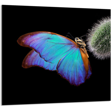 PANEL DE VIDRIO PARA COCINA 65x60 Mariposa