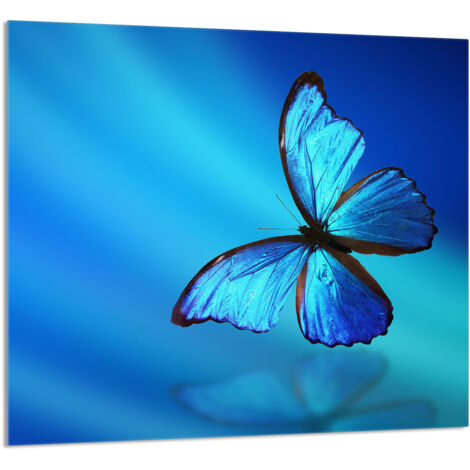 PANEL DE VIDRIO PARA COCINA 65x60 Mariposa