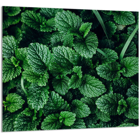 PANEL DE VIDRIO PARA COCINA 65x60 Melisa