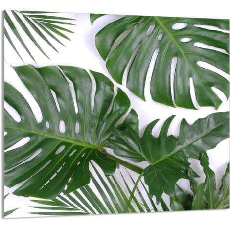 PANEL DE VIDRIO PARA COCINA 65x60 Monstera