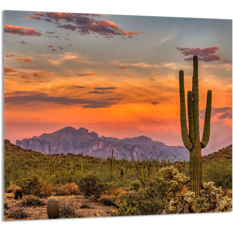 PANEL DE VIDRIO PARA COCINA 65x60 Montañas
