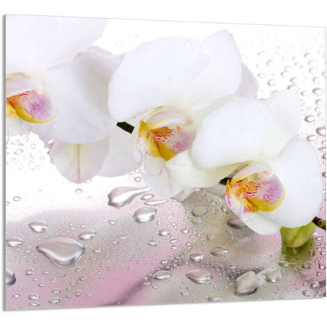 PANEL DE VIDRIO PARA COCINA 65x60 Orquídea