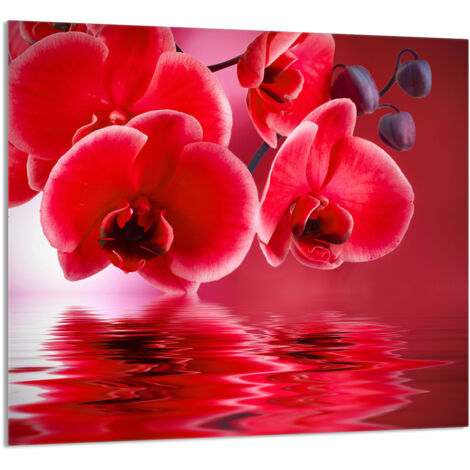 PANEL DE VIDRIO PARA COCINA 65x60 Orquídea