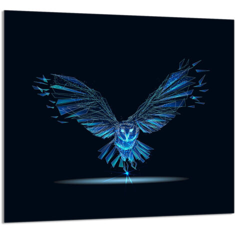 PANEL DE VIDRIO PARA COCINA 65x60 Pájaro