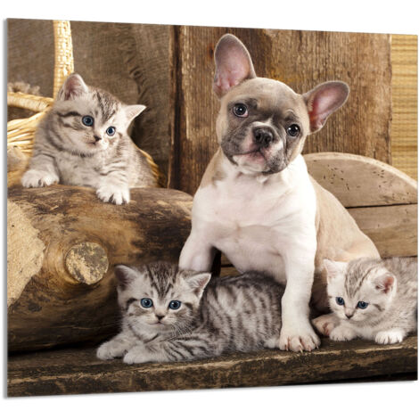 PANEL DE VIDRIO PARA COCINA 65x60 Perro