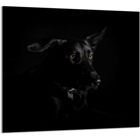 PANEL DE VIDRIO PARA COCINA 65x60 Perro