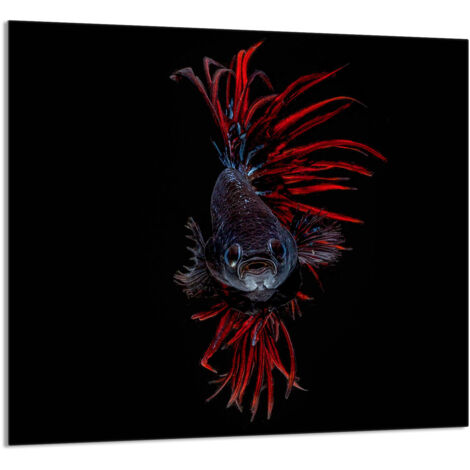 PANEL DE VIDRIO PARA COCINA 65x60 Pescado