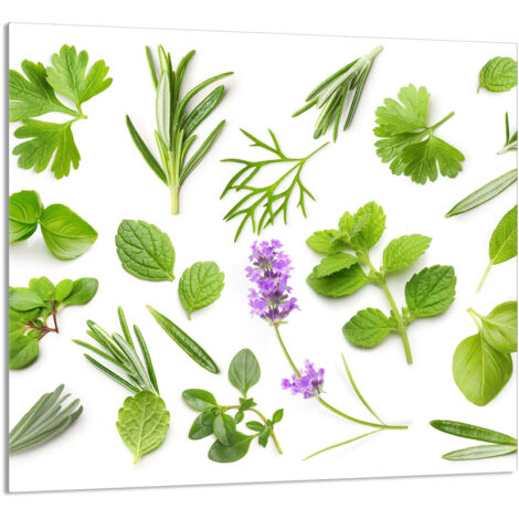 PANEL DE VIDRIO PARA COCINA 65x60 Plantas