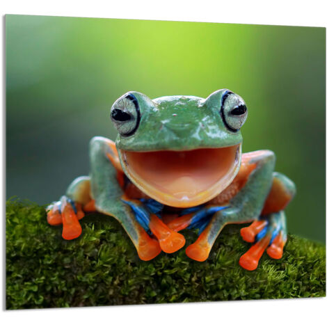PANEL DE VIDRIO PARA COCINA 65x60 Rana