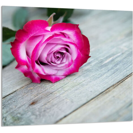PANEL DE VIDRIO PARA COCINA 65x60 Rosa
