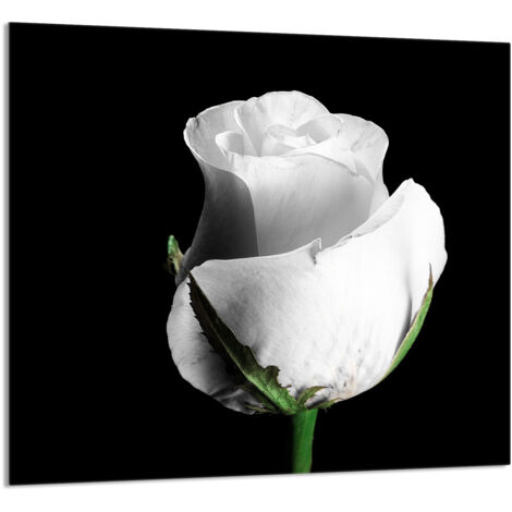 PANEL DE VIDRIO PARA COCINA 65x60 Rosa