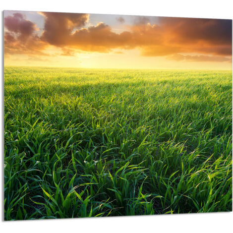 PANEL DE VIDRIO PARA COCINA 65x60 Ver